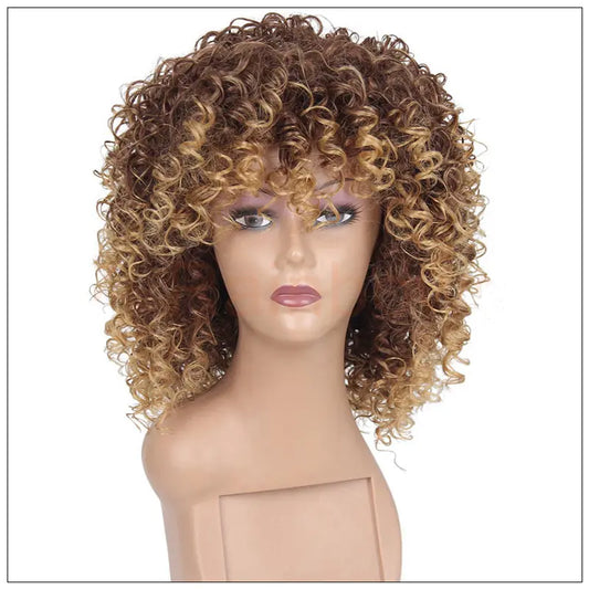 Black Fluffy Small Curly Wig