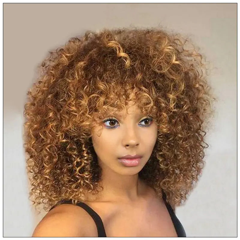 Black Fluffy Small Curly Wig